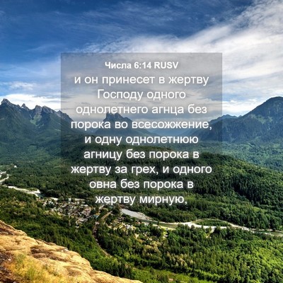Picture 04 - Числа 6:14 RUSV - и он принесет в жертву - Bible Verse Picture