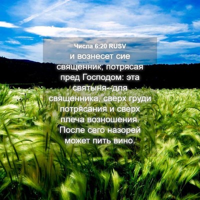 Picture 04 - Числа 6:20 RUSV - и вознесет сие священник, - Bible Verse Picture