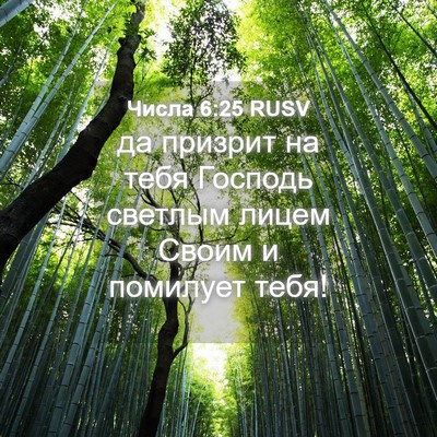 Picture 04 - Числа 6:25 RUSV - да призрит на тебя Господь - Bible Verse Picture