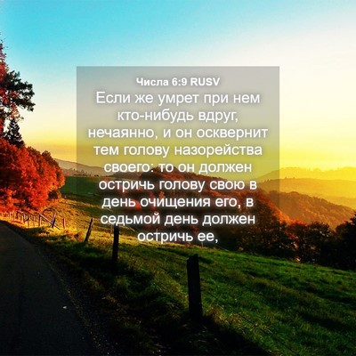 Picture 04 - Числа 6:9 RUSV - Если же умрет при нем - Bible Verse Picture