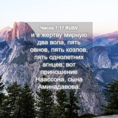 Picture 04 - Числа 7:17 RUSV - и в жертву мирную два вола, - Bible Verse Picture