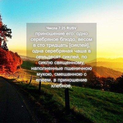 Picture 04 - Числа 7:25 RUSV - приношение его: одно - Bible Verse Picture