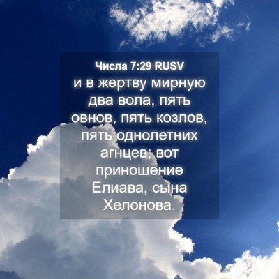 Picture 04 - Числа 7:29 RUSV - и в жертву мирную два вола, - Bible Verse Picture