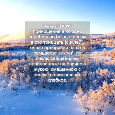 Picture 04 - Числа 7:31 RUSV - приношение его: одно - Bible Verse Picture