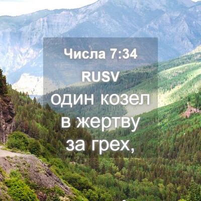 Picture 04 - Числа 7:34 RUSV - один козел в жертву за - Bible Verse Picture