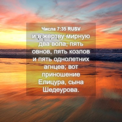 Picture 04 - Числа 7:35 RUSV - и в жертву мирную два вола, - Bible Verse Picture