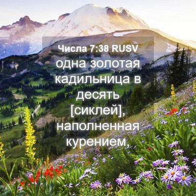 Picture 04 - Числа 7:38 RUSV - одна золотая кадильница в - Bible Verse Picture