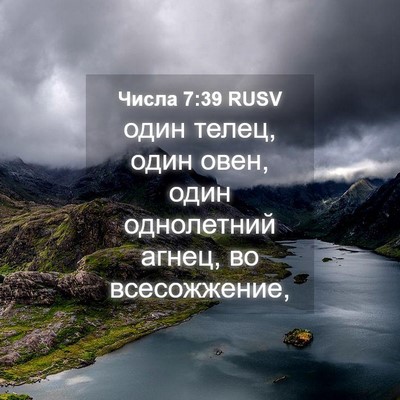 Picture 04 - Числа 7:39 RUSV - один телец, один овен, один - Bible Verse Picture