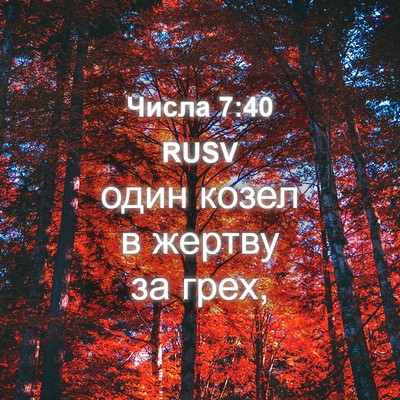 Picture 04 - Числа 7:40 RUSV - один козел в жертву за - Bible Verse Picture