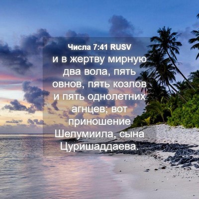 Picture 04 - Числа 7:41 RUSV - и в жертву мирную два вола, - Bible Verse Picture