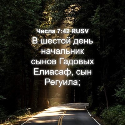 Picture 04 - Числа 7:42 RUSV - В шестой день начальник - Bible Verse Picture