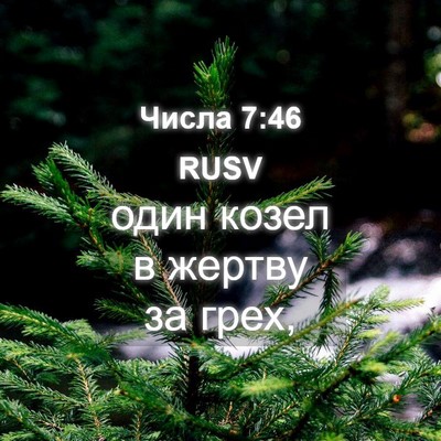 Picture 04 - Числа 7:46 RUSV - один козел в жертву за - Bible Verse Picture