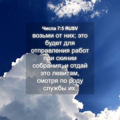 Picture 04 - Числа 7:5 RUSV - возьми от них; это будет - Bible Verse Picture