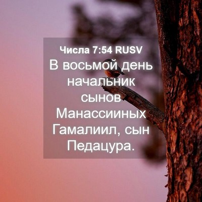 Picture 04 - Числа 7:54 RUSV - В восьмой день начальник - Bible Verse Picture