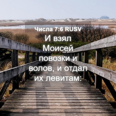 Picture 04 - Числа 7:6 RUSV - И взял Моисей повозки и - Bible Verse Picture