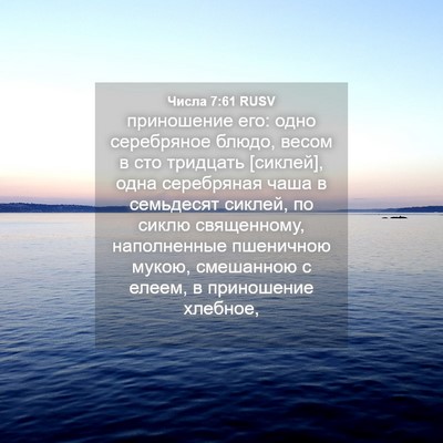 Picture 04 - Числа 7:61 RUSV - приношение его: одно - Bible Verse Picture
