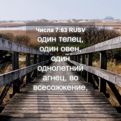 Picture 04 - Числа 7:63 RUSV - один телец, один овен, один - Bible Verse Picture