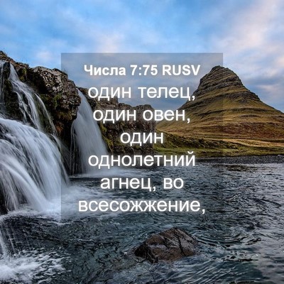 Picture 04 - Числа 7:75 RUSV - один телец, один овен, один - Bible Verse Picture