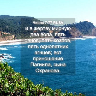 Picture 04 - Числа 7:77 RUSV - и в жертву мирную два вола, - Bible Verse Picture