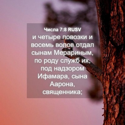 Picture 04 - Числа 7:8 RUSV - и четыре повозки и восемь - Bible Verse Picture