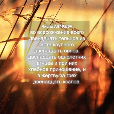 Picture 04 - Числа 7:87 RUSV - во всесожжение всего - Bible Verse Picture