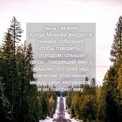 Picture 04 - Числа 7:89 RUSV - Когда Моисей входил в - Bible Verse Picture