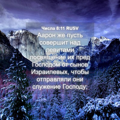Picture 04 - Числа 8:11 RUSV - Аарон же пусть совершит - Bible Verse Picture