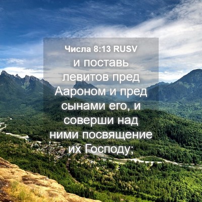 Picture 04 - Числа 8:13 RUSV - и поставь левитов пред - Bible Verse Picture