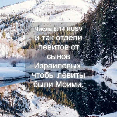 Picture 04 - Числа 8:14 RUSV - и так отдели левитов от - Bible Verse Picture