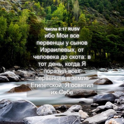 Picture 04 - Числа 8:17 RUSV - ибо Мои все первенцы у - Bible Verse Picture