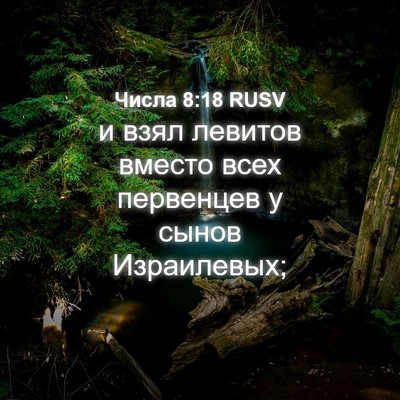 Picture 04 - Числа 8:18 RUSV - и взял левитов вместо всех - Bible Verse Picture