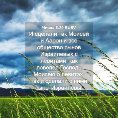 Picture 04 - Числа 8:20 RUSV - И сделали так Моисей и - Bible Verse Picture