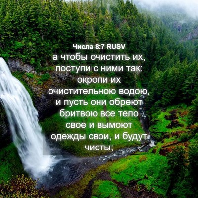 Picture 04 - Числа 8:7 RUSV - а чтобы очистить их, - Bible Verse Picture