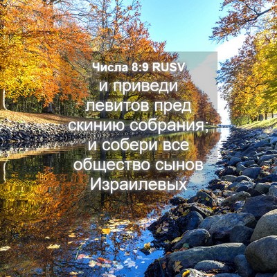 Picture 04 - Числа 8:9 RUSV - и приведи левитов пред - Bible Verse Picture