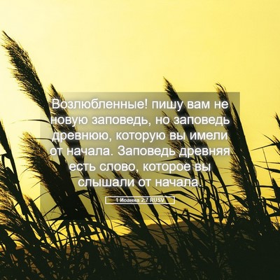Picture 05 - 1 Иоанна 2:7 RUSV - Возлюбленные! пишу вам не - Bible Verse Picture
