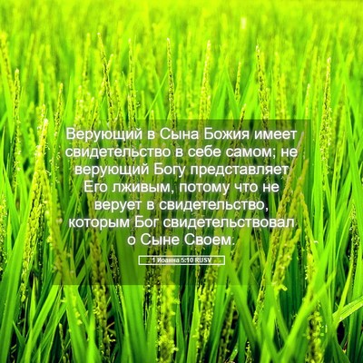 Picture 05 - 1 Иоанна 5:10 RUSV - Верующий в Сына Божия - Bible Verse Picture