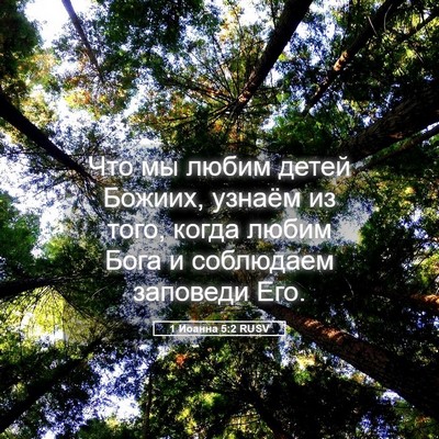 Picture 05 - 1 Иоанна 5:2 RUSV - Что мы любим детей Божиих, - Bible Verse Picture