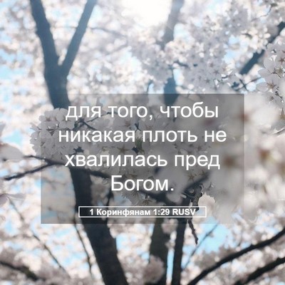 Picture 05 - 1 Коринфянам 1:29 RUSV - для того, чтобы никакая - Bible Verse Picture