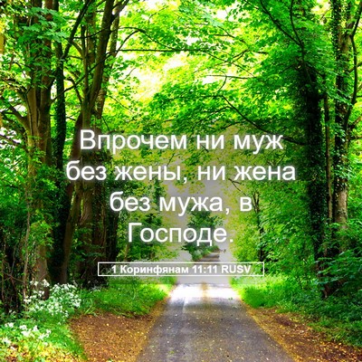 Picture 05 - 1 Коринфянам 11:11 RUSV - Впрочем ни муж без жены, ни - Bible Verse Picture