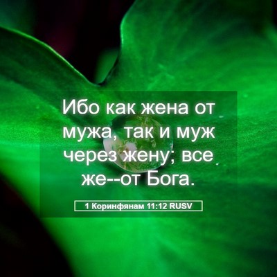 Picture 05 - 1 Коринфянам 11:12 RUSV - Ибо как жена от мужа, так и - Bible Verse Picture