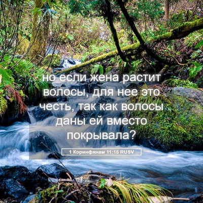 Picture 05 - 1 Коринфянам 11:15 RUSV - но если жена растит волосы, - Bible Verse Picture