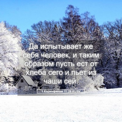 Picture 05 - 1 Коринфянам 11:28 RUSV - Да испытывает же себя - Bible Verse Picture
