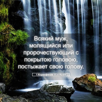 Picture 05 - 1 Коринфянам 11:4 RUSV - Всякий муж, молящийся или - Bible Verse Picture