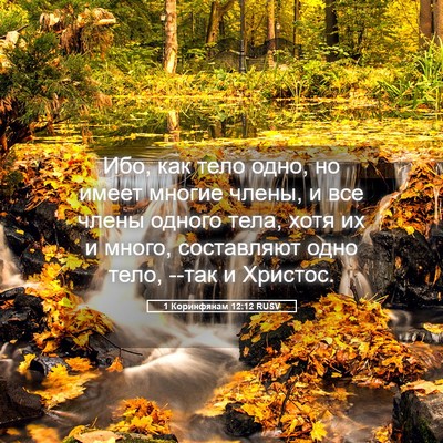 Picture 05 - 1 Коринфянам 12:12 RUSV - Ибо, как тело одно, но имеет - Bible Verse Picture