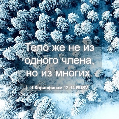 Picture 05 - 1 Коринфянам 12:14 RUSV - Тело же не из одного члена, - Bible Verse Picture