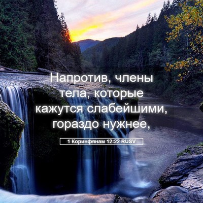 Picture 05 - 1 Коринфянам 12:22 RUSV - Напротив, члены тела, - Bible Verse Picture