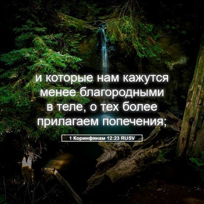 Picture 05 - 1 Коринфянам 12:23 RUSV - и которые нам кажутся - Bible Verse Picture