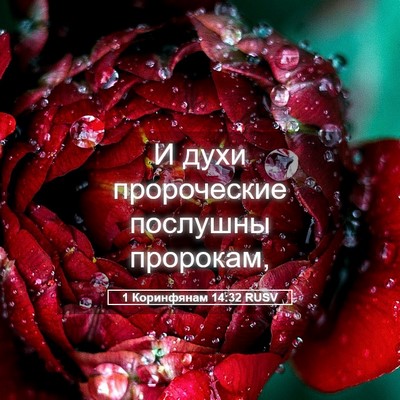 Picture 05 - 1 Коринфянам 14:32 RUSV - И духи пророческие - Bible Verse Picture