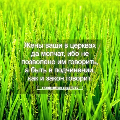 Picture 05 - 1 Коринфянам 14:34 RUSV - Жены ваши в церквах да - Bible Verse Picture