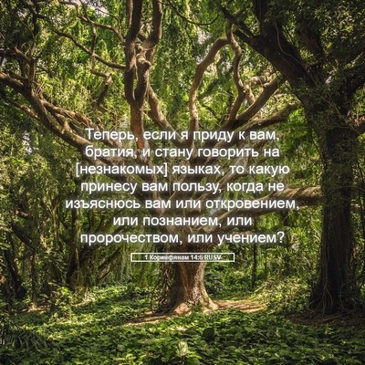 Picture 05 - 1 Коринфянам 14:6 RUSV - Теперь, если я приду к вам, - Bible Verse Picture
